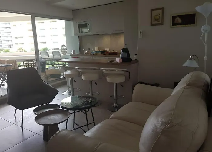 Superbe Appartement A Canet En Roussilon Avec Vue Sur Mer Et Montagne